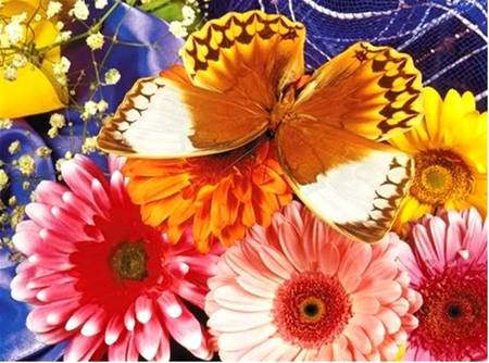 Butterfly Garden - butterfly, flowers, garden