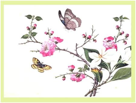 Butterfly Art - art, flowers, butterflies, print