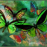 Green Butterfly Fantasy