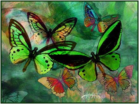 Green Butterfly Fantasy