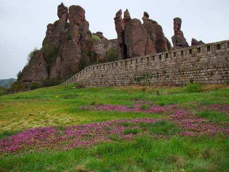 Belogradchik Rocks - belogradchik, mountain, beautiful, bulgaria, rocks, flower