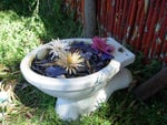 Toilet bowl arrangement