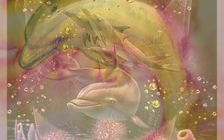 dolphins - yellow, water, pink