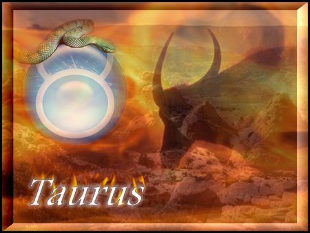 Taurus - zodiac, sign, astrology, fire, taurus, horoscope, snake, bull, earth