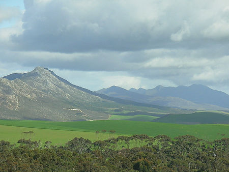 Like a painting - fields, painting, cloud, green, countryside, mountains