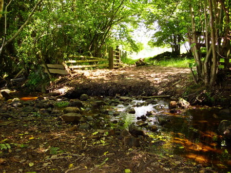 tranquility - nature, trees, stream, countryside, field, grass