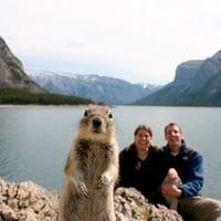 Funny Squirrel