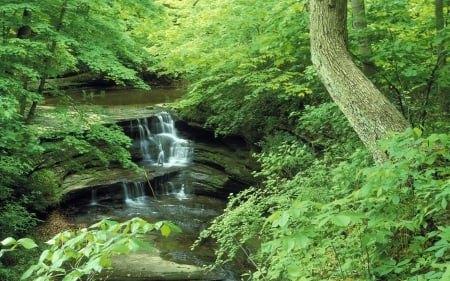 Starved Rock State Park, Illinois