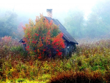 Old bath house. - nature, autumn, people, landscape, history