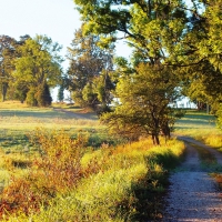 Autumn morning.