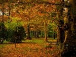 *** AUTUMN ***