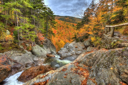 *** AUTUMN IN MOUNTAINS *** - nature, autumn, trees, river, mountains