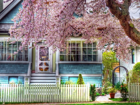 *** BEAUTIFUL BLOOMING TREE AND HOME *** - flowers, flower, nature, home