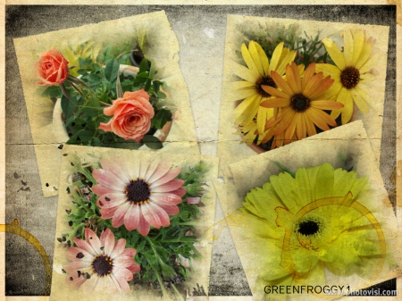 MY FLOWERS - flowers, collage, abstract, my