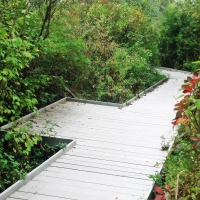 Nature Walk