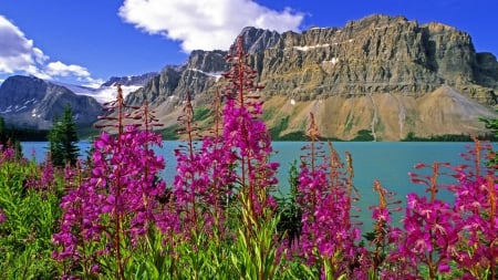 Banff national park - summer, rocks, cliffs, beautiful, quiet, grass, national, banff, place, nature, park, mountain, flowers, serenity, shore, lake, sky, nice, clouds, lovely, calm