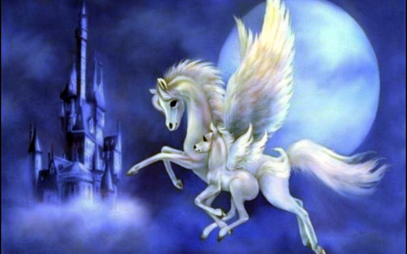 Baby Pegasus - fantasy, pegasus, art, horse