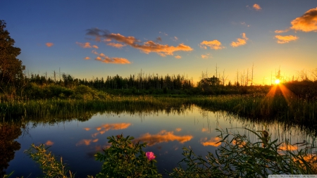 Lake - stream, nature, lake, river