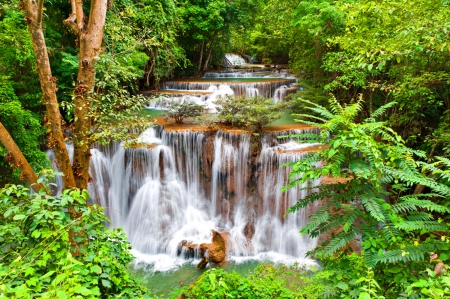 Water cascades in forest - trees, greenery, stream, water, waterfall, calm, quiet, fall, river, falling, cascades, summer, shore, place, silent, serenity, nature