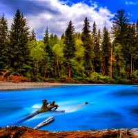 HOH RIVER,Olympic National Park, WA.