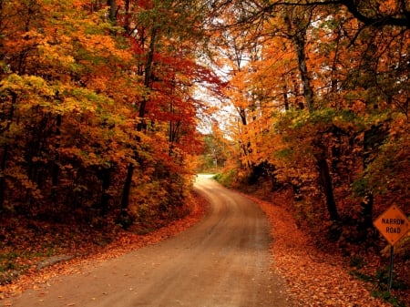 our autumn road - orange, autumn, road, beautiful