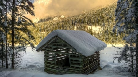 cute little log cabin in the mountains at winter - winter, fog, cabin, log, morning, forest, mountains