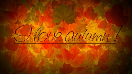 i love autum - love, autumn, red, orange, leaf