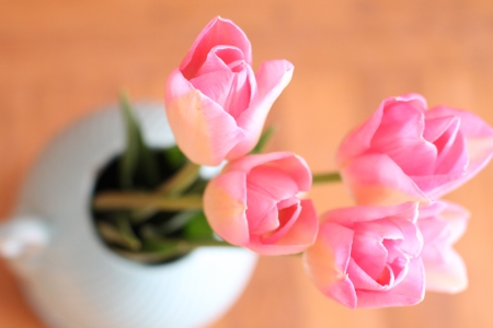 Pretty Light Spring♥ - pretty, tulips, delicate, spring, light, bouquet, pink