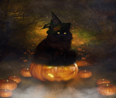 ~Halloween Black Cat~ - hat, black cat, creative pre-made, backgrounds, digital art, weird things people wear, lovely, photomanipulation, cat, fantasy, pumkins, halloween