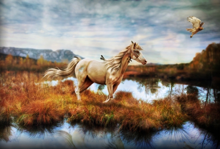 war horse - running, war horse, desktop, fast, animal, horses, draft horse, art, wallpaper