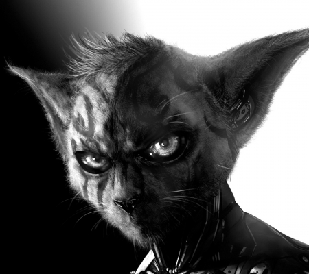 cyborg cat - desktop, wallpaper, gothic, cyborg, skull, art, games, fantasy, movies, bones