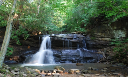 Holly River State Park, West Virginia - virginia, trees, state, water, park, waterfalls, holly, nature, white, river, leaves, green, rock, west