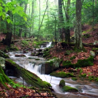 Holly River State Park, West Virginia