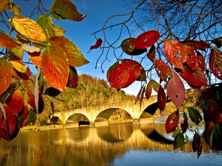 Autumn colors at Cumberland falls bridge - nice, sky, autumn, trees, colorful, clear, mirrored, foliage, fall, quiet, reflection, river, bridge, branches, lake, falling, shore, lovely, cumberland, nature, beautiful, leaves, colors