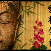 Buddha Zen Style