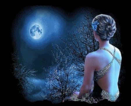 looking on full moon - looking, nature, girl, night, full moon