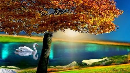 Autumn Tree Colors - swan, autumn, lake, fall, beautiful, tree, colors