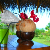 Coconut Cocktail and Flowers for Adi :)