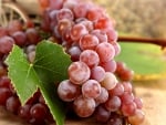 *** Grapes ***