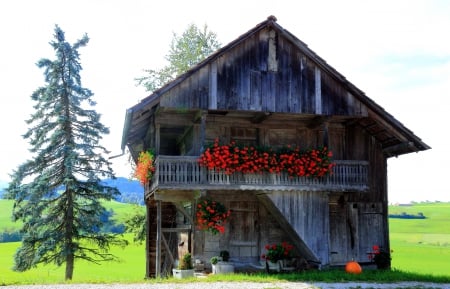 Garret - House - Barn - house, wood, beautiful, photography, splendor, landscape, colors, pumpkin, tree, flowers, nature, garret, barn, color, peaceful