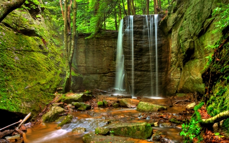 Hector Falls, New York State - nature, forest, waterfall, usa