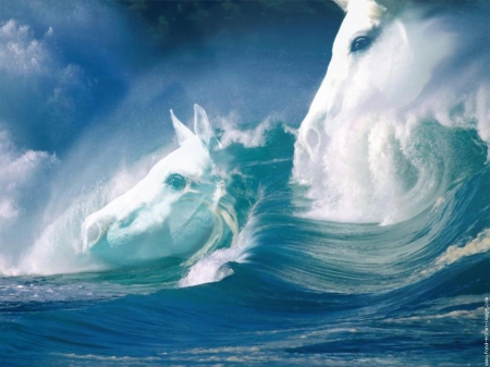 Horse - nature, horse, sea, wave