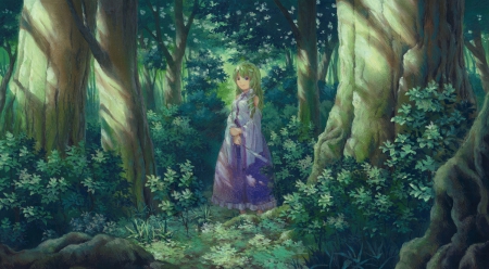 Kochiya Sanae - forest, kochiya sanae, touhou, anime, grass, long hair, blue eyes, trees, green hair