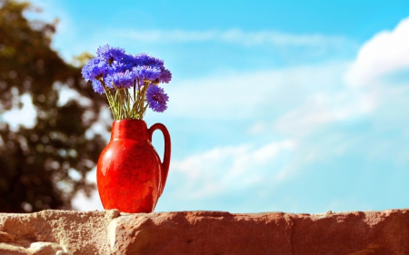 *** Still life *** - flowers, life, still, nature