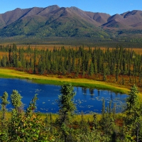 Wrangell, St. Elias National Park, Alaska