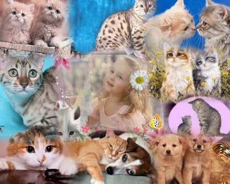 CATS AND KITTENS COLLAGE AND PUPPIES AND CHILD - CATS, KITTENS, BEAUTIFUL, COLLAGE