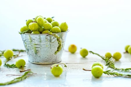 *** GOOSEBERRIES *** - fresh, gooseberries, fruits, nature