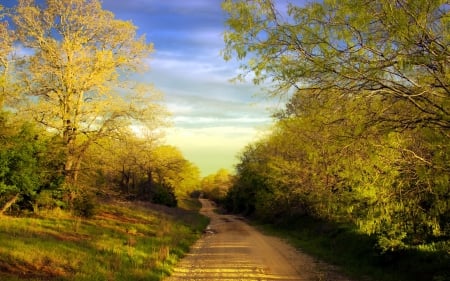 Peaceful path - path, tree, harmony, nature