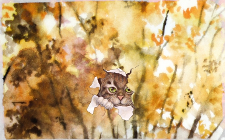 Autumnal Image. Broken - broken, image, cat, autumn