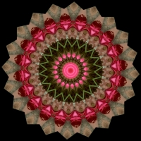 Petaled Mandala 1